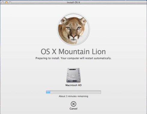 OSX MLion