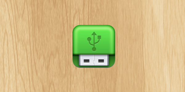 USB Disk