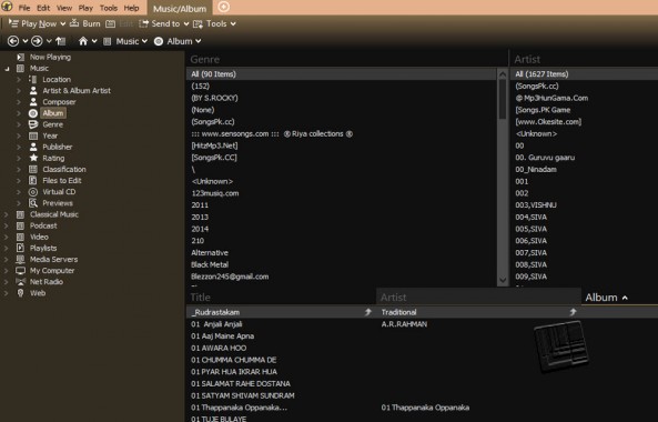 MediaMonkey Music Options