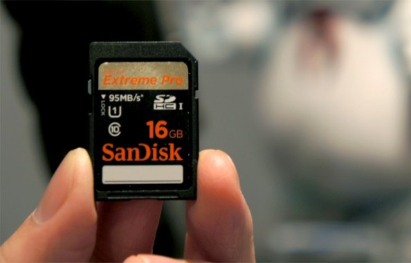 3 Best PC Tools To Recover Deleted Photos From SD Card