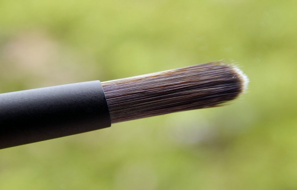 Sensu Stylus Review