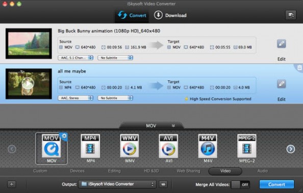 iSkysoft Video Converter Features