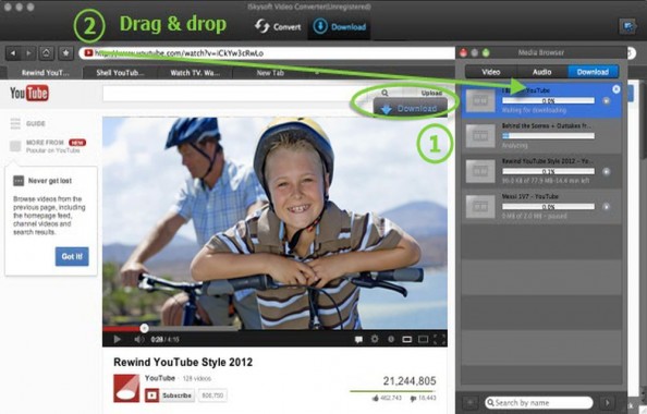iSkysoft Video Downloading