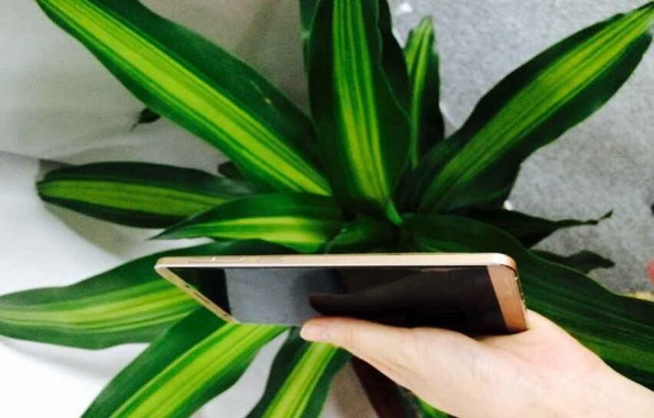Cubot X15 Design and Features