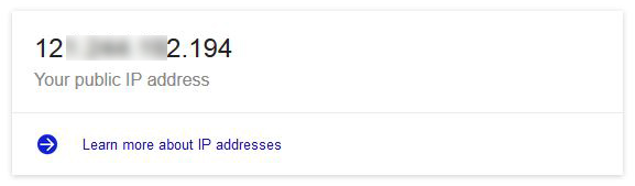 google-ip-result
