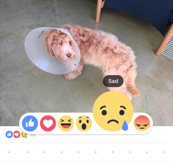 Facebook reactions