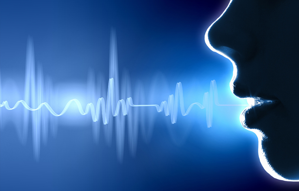 Smartphone voice control