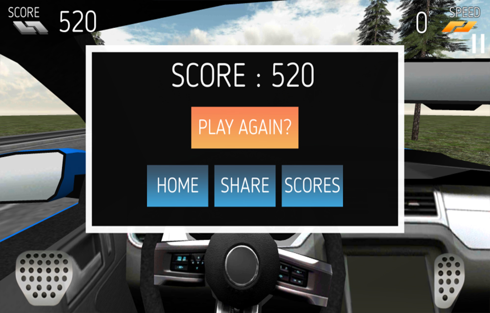 traffic-racing-drivers-view-game-review-5