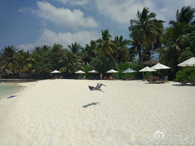 xiaomi-mi-5-camera-samples-revealed2