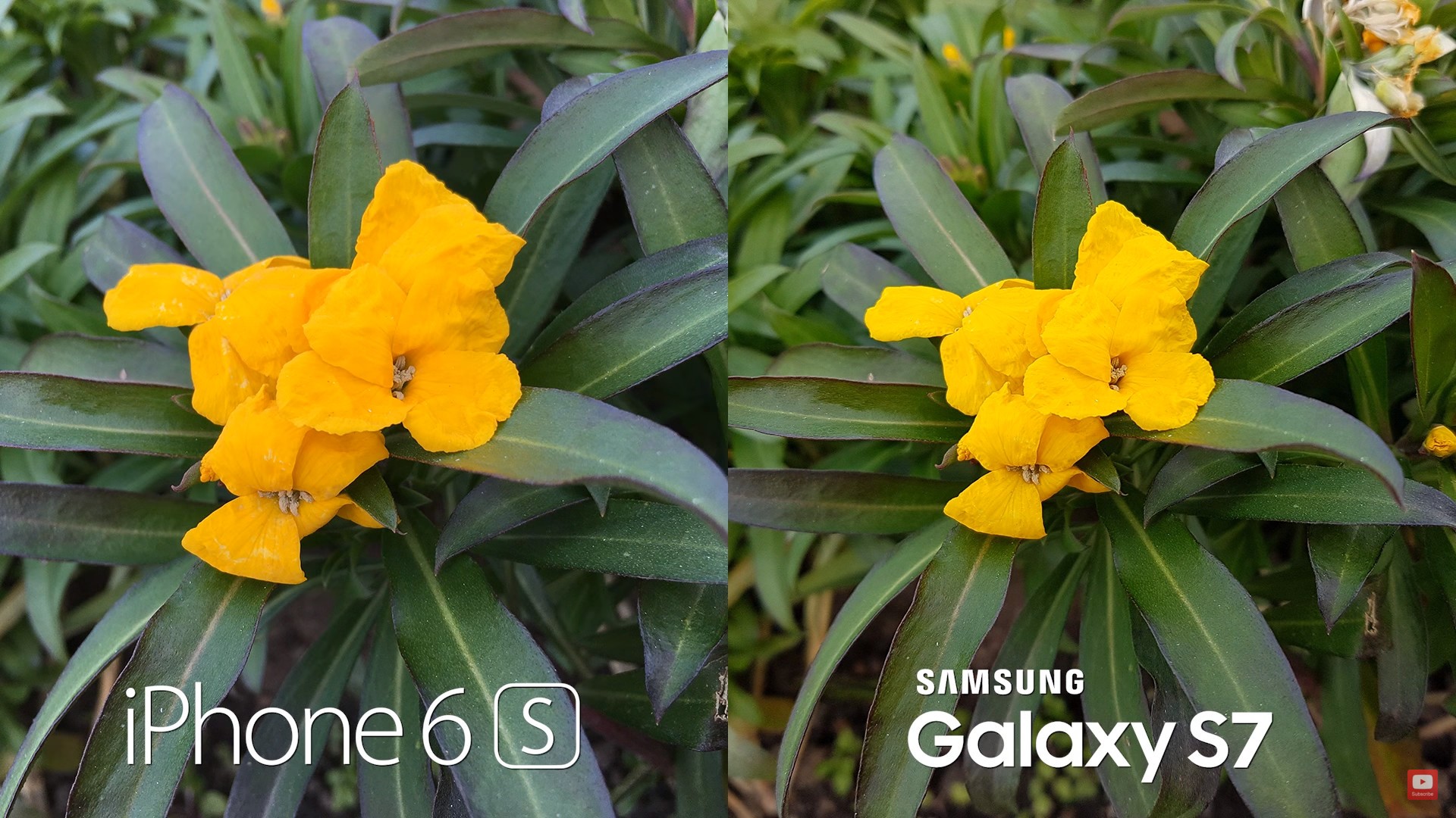 samsung-galaxy-s7-qualiy compared