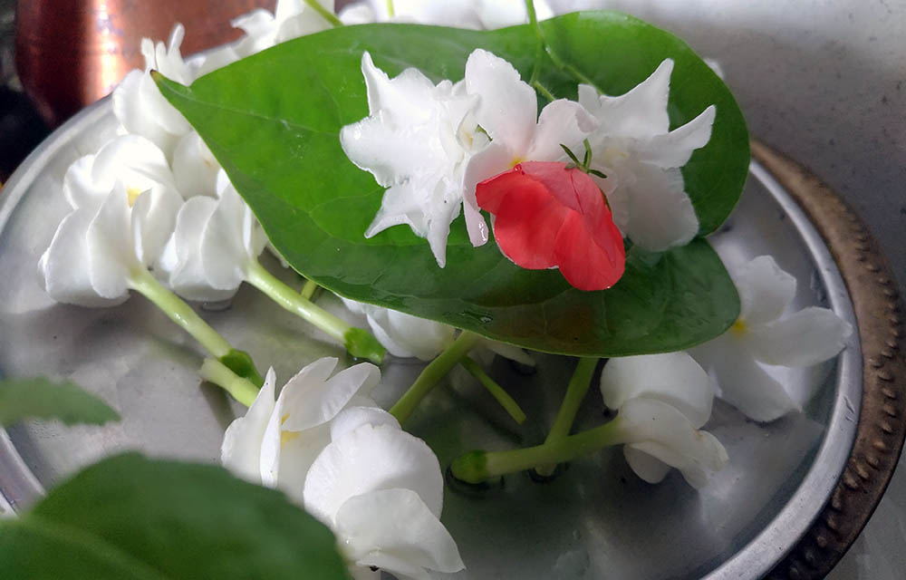 Zenfone Camera Sample 3