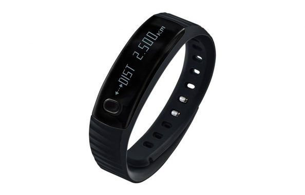 intex-fitrist