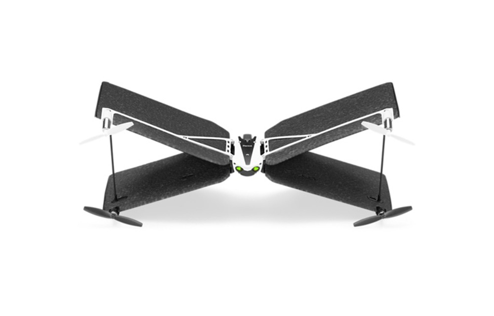 Parrot Swing Black