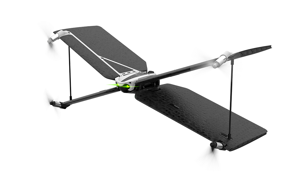 parrot-swing-review