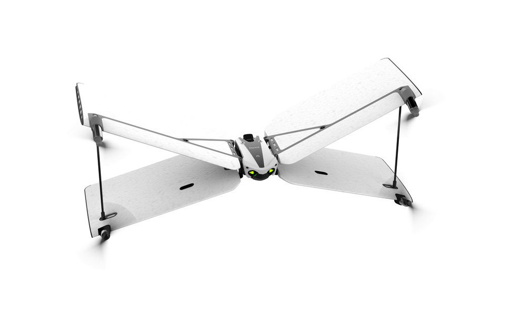 parrot-swing-white