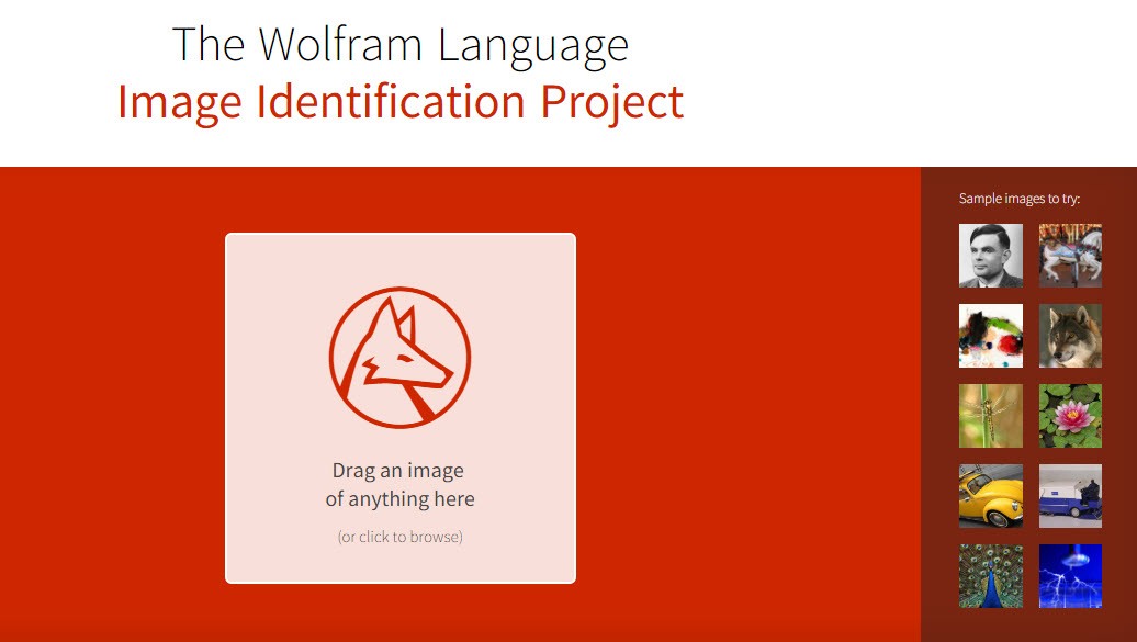 Image Identify