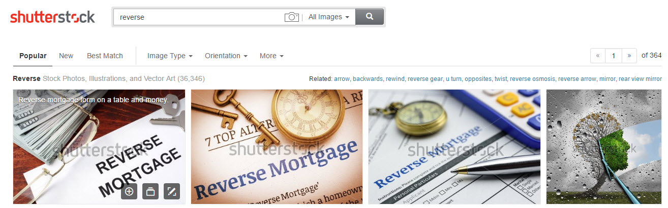 Shutterstock Image by Image Search