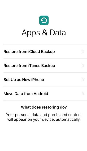 iPhone Set Up Options