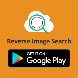 reverse image search