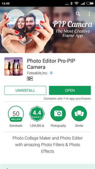 PIP Camera