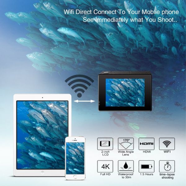 Acekool Wireless Connectivity