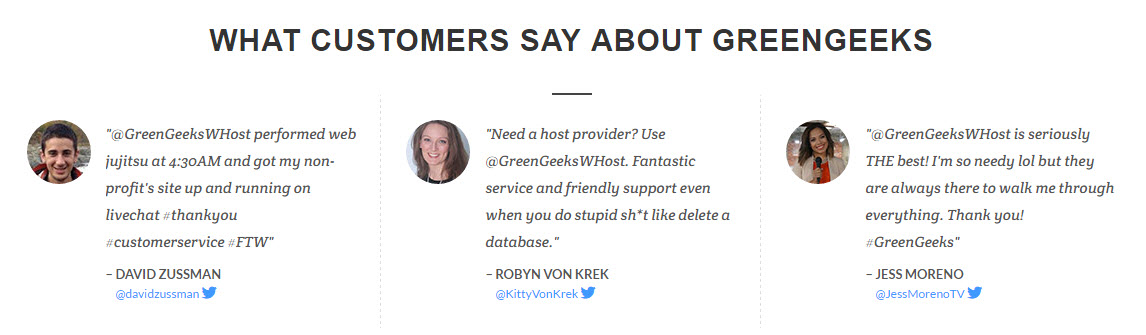 GreenGeeks Customer Reviews