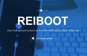 Tenorshare Reiboot Review