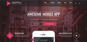 Applay Theme Review
