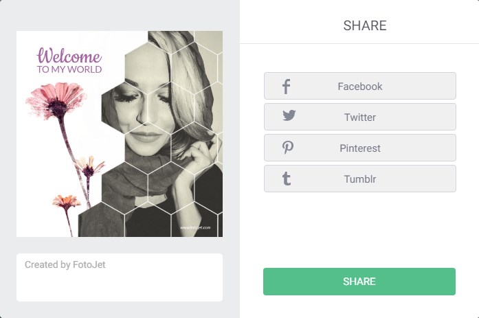 Fotojet Graphic Design Software Share on Social Medias