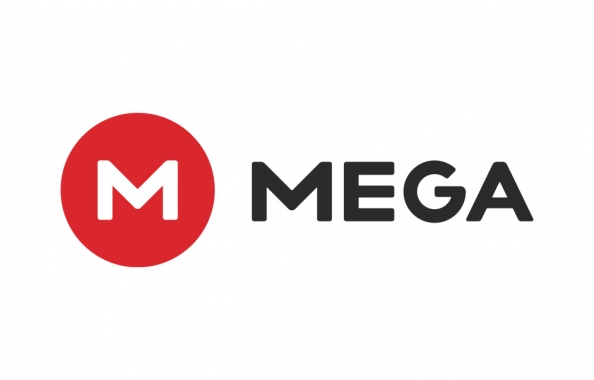 Mega Review