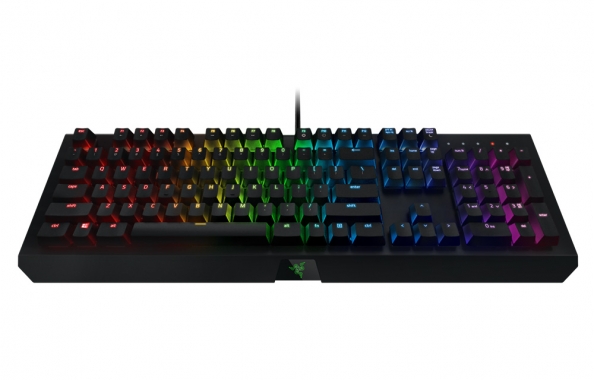 Razer Blackwidow X Chroma Review