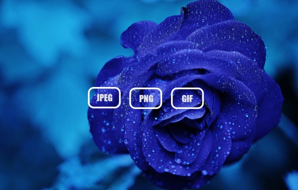 Best Image Formats