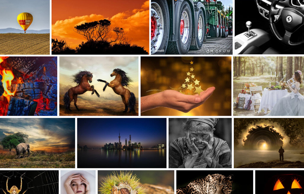 11 Best Websites To Download Free Images