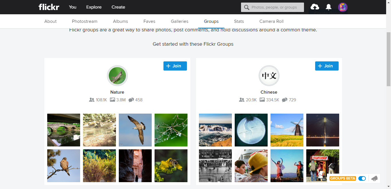 Flickr Community