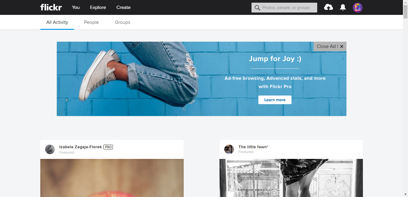 Flickr Interface