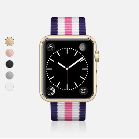 Casetify Stripe White Band