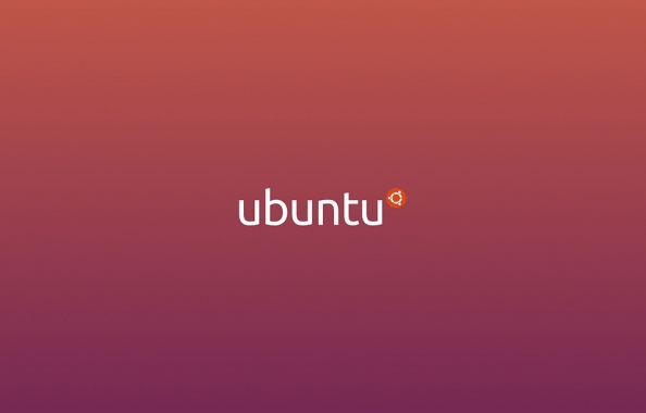How to get Mac Address in Ubuntu