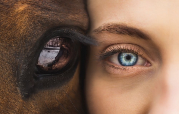 Facebook’s new AI research Creates Eye for Closed Eye Pictures