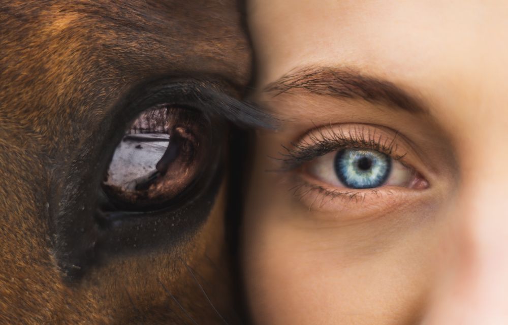 Facebook’s new AI research Creates Eye for Closed Eye Pictures