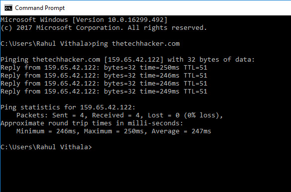 cmd ping website