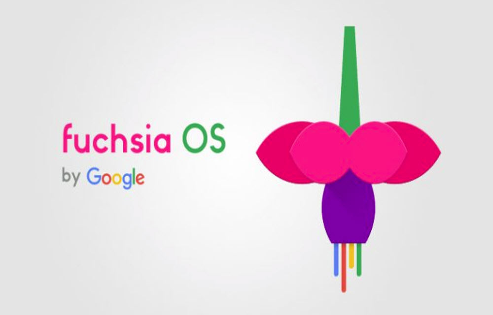 Fuchia OS is Reportedly Going to Replace Android on all Google Devices in Next Few Years