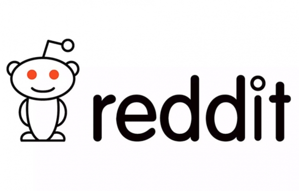 The Demographics of Reddit
