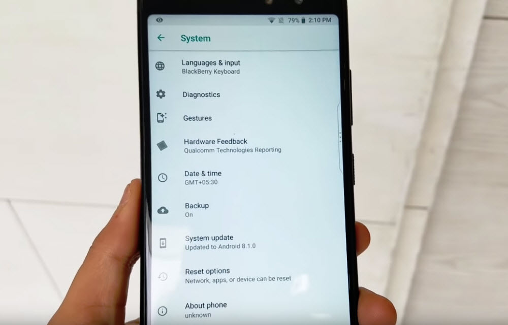 BlackBerry Evolve X Battery