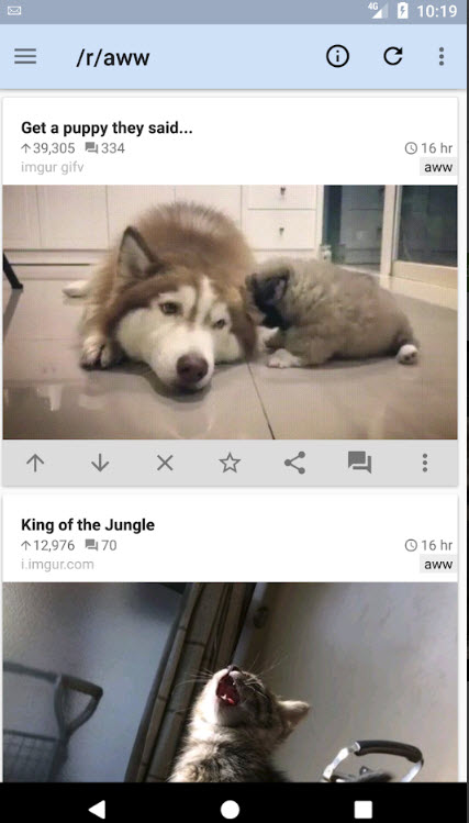 Reddit is Fun