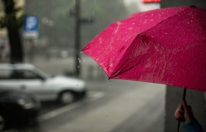 Top 12 Life Insurance Companies in India