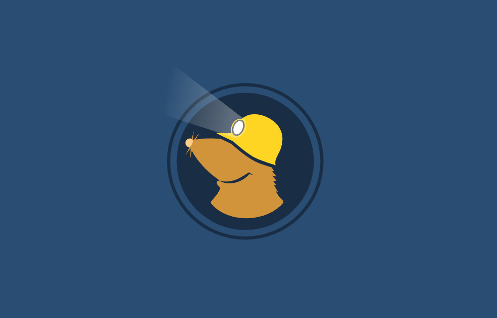 Mullvad VPN Review