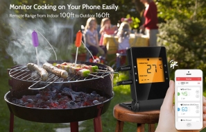 AGM Digital Meat Thermometer Review