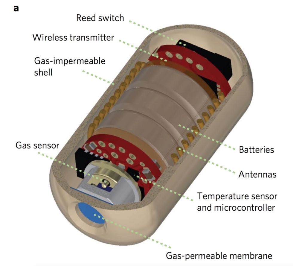 Ingestible Pill prototype