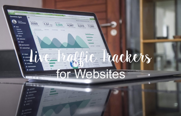 7 Best tools for tracking live visitors on your website