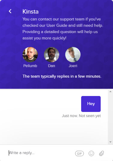 Kinsta Support